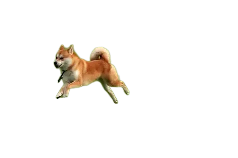 Bicho de estimação background removed